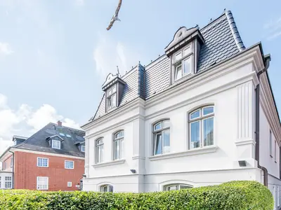 Hauptansicht
