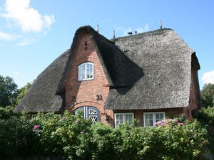 Ferienwohnung für 3 Personen (60 m²) in Westerland (Sylt)