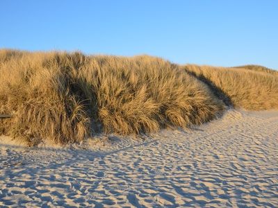 Ferienwohnung für 4 Personen (63 m²) in Westerland (Sylt) 8/10