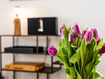 Ferienwohnung für 3 Personen (45 m²) in Westerland (Sylt) 7/10