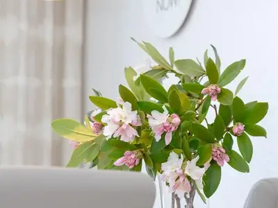 Ferienwohnung für 4 Personen (54 m²) in Westerland (Sylt) 3/10