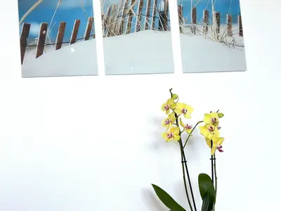 Ferienwohnung für 4 Personen (44 m²) in Westerland (Sylt) 5/10