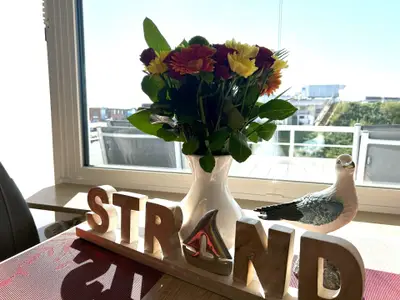 Ferienwohnung für 4 Personen (47 m²) in Westerland (Sylt) 5/10