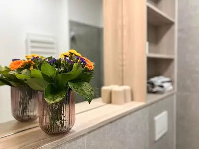 Ferienwohnung für 2 Personen (30 m²) in Westerland (Sylt) 9/10