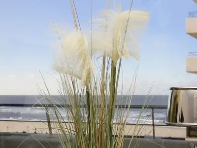 Ferienwohnung für 2 Personen (23 m²) in Sylt-Ost 2/10