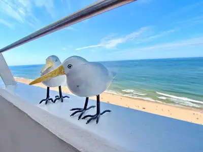 Ferienwohnung für 2 Personen (34 m²) in Sylt-Ost 2/10
