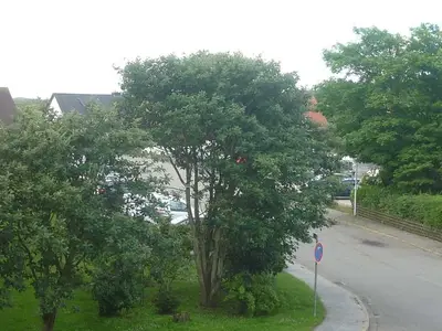 Ferienwohnung für 2 Personen (38 m²) in Sylt-Ost 5/10