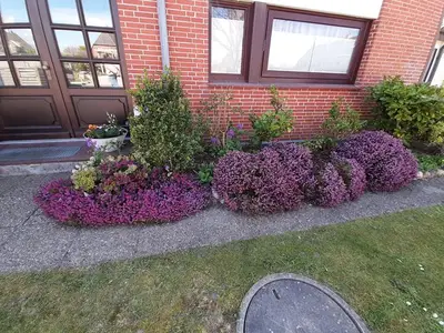 Ferienwohnung für 3 Personen (50 m²) in Sylt-Ost 4/10