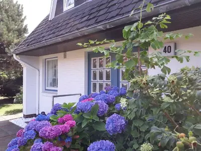 Ferienwohnung für 4 Personen (60 m²) in Sylt-Ost 1/10