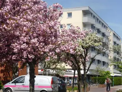 Ferienwohnung für 3 Personen (45 m²) in Sylt-Ost 9/10