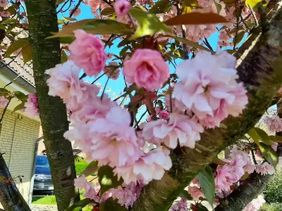 Ferienwohnung für 2 Personen (46 m²) in Sylt-Ost 6/10