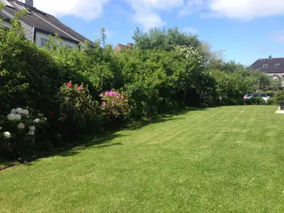 Ferienwohnung für 4 Personen (37 m²) in Westerland (Sylt) 10/10