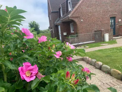 Ferienwohnung für 2 Personen (38 m²) in Westerland (Sylt) 9/10