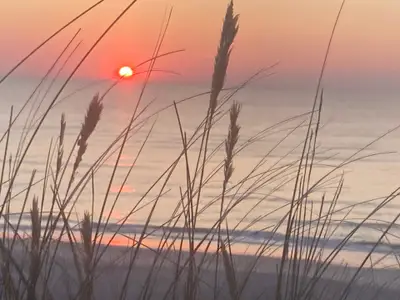 Ferienwohnung für 4 Personen (49 m²) in Westerland (Sylt) 5/10