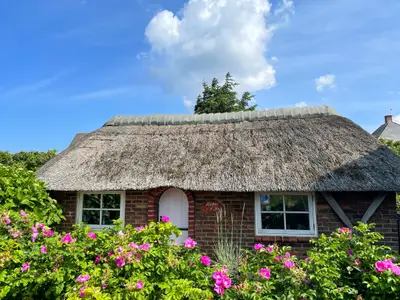 Ferienwohnung für 2 Personen (23 m²) in Westerland (Sylt) 1/9