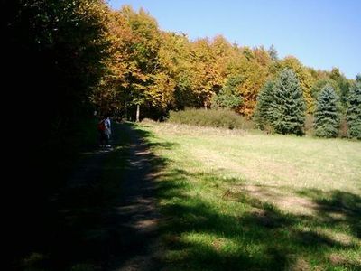 Hoher Westerwald - Wald und Wiesen.