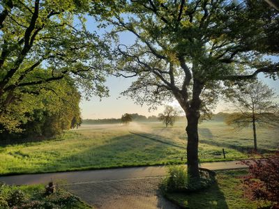 Sommer - Hofeinfahrt