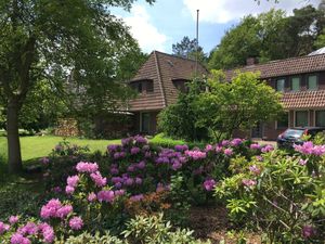 Frühling - Haus