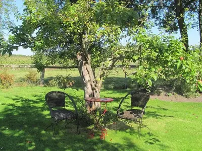 Ferienwohnung für 2 Personen (52 m²) in Westerstede 3/10