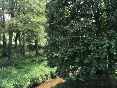 Sommer - Brückenzimmer