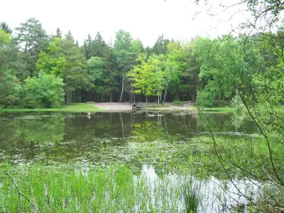 der Waldspaziergang zum naheliegenden Waldsee