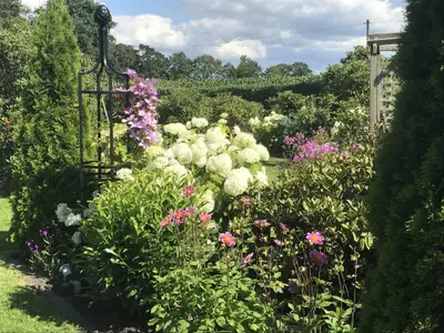Garten Landhaus Sommerfrische