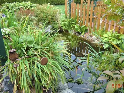 Bild 10