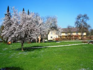 18590880-Ferienwohnung-5-Weyregg am Attersee-300x225-1