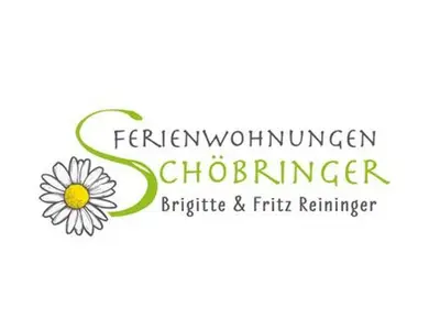 Ferienwohnung für 2 Personen (40 m²) in Weyregg am Attersee 3/10
