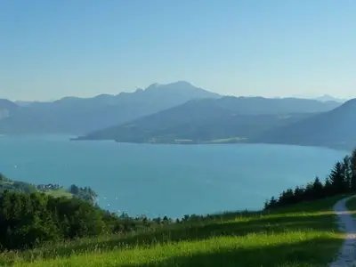 Ferienwohnung für 4 Personen (45 m²) in Weyregg am Attersee 7/10