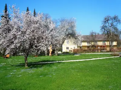 Ferienwohnung für 3 Personen (60 m²) in Weyregg am Attersee 3/10