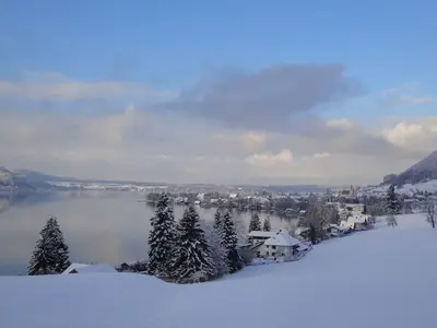 Ferienwohnung für 4 Personen (60 m²) in Weyregg am Attersee 3/10