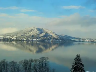 Ferienwohnung für 4 Personen (60 m²) in Weyregg am Attersee 2/10