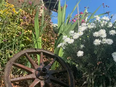 Ferienwohnung für 3 Personen (30 m²) in Wickede 5/10