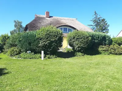 GardenSummer