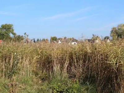 Ferienwohnung für 5 Personen (80 m²) in Wieck am Darß 5/10