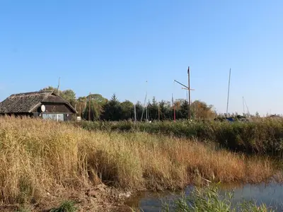 Ferienwohnung für 5 Personen (80 m²) in Wieck am Darß 6/10