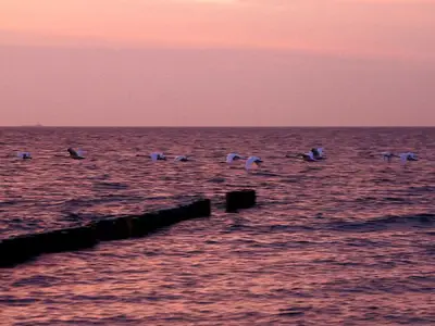 Ferienwohnung für 2 Personen (45 m²) in Wieck am Darß 6/10