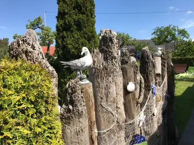 Ferienwohnung für 4 Personen (60 m²) in Wieck am Darß 10/10