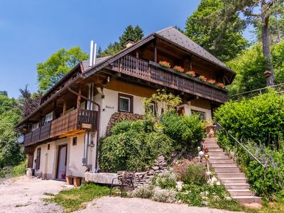 Ferienwohnung für 4 Personen (55 m²) in Wieden 1/10