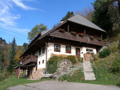 Ferienwohnung für 4 Personen (55 m²) in Wieden 9/10