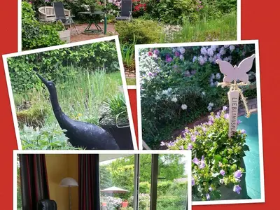Blick in den Garten