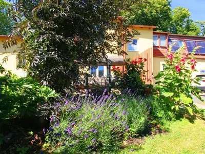 GardenSummer