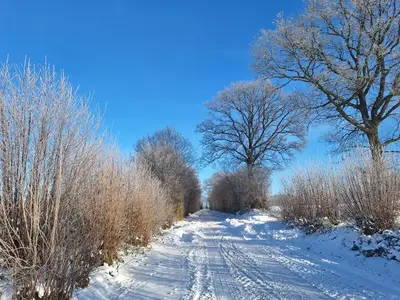 Ferienwohnung für 2 Personen (42 m²) in Wiemersdorf 2/10