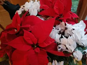 Ferienwohnung für 7 Personen (60 m²) in Wien