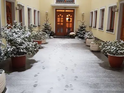 Ferienwohnung für 3 Personen (50 m²) in Wien 8/10