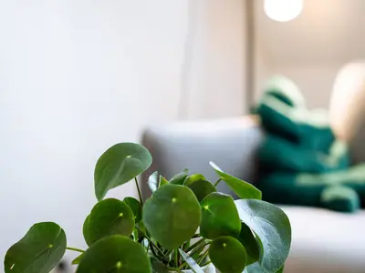 Ferienwohnung für 4 Personen (63 m²) in Wien 10/10