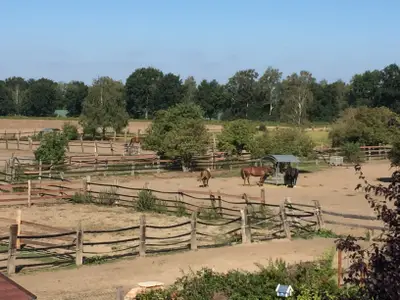 Ferienwohnung für 4 Personen (70 m²) in Wienhausen 6/10