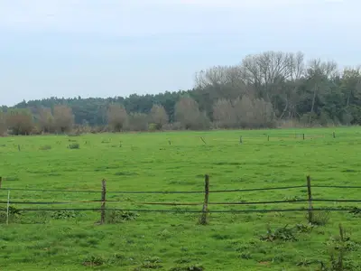 Weiter Blick über Wiesen und Weiden
