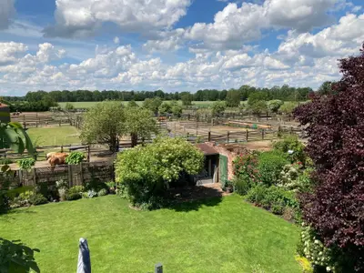 Ferienwohnung für 4 Personen (70 m²) in Wienhausen 5/10